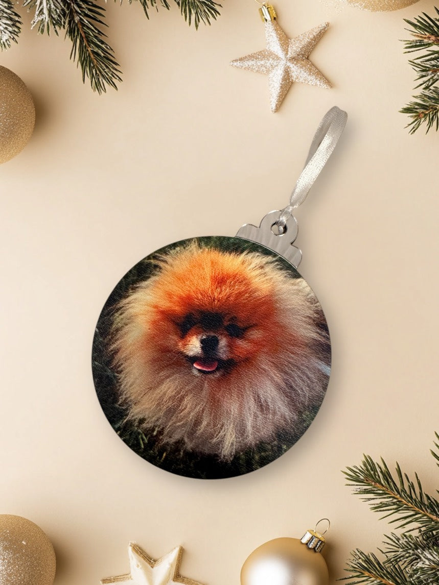 Weihnachtsbaumschmuck - personalisiert mit Foto